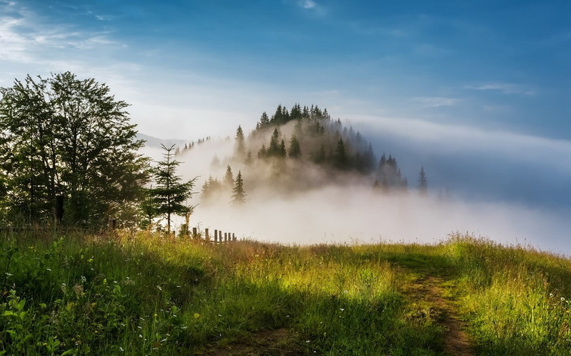 shrubs, no people, outdoors, plant, environment, scenics - nature, hazy, house, beauty in nature, tree, growth, white, landscape, field, sky, green color