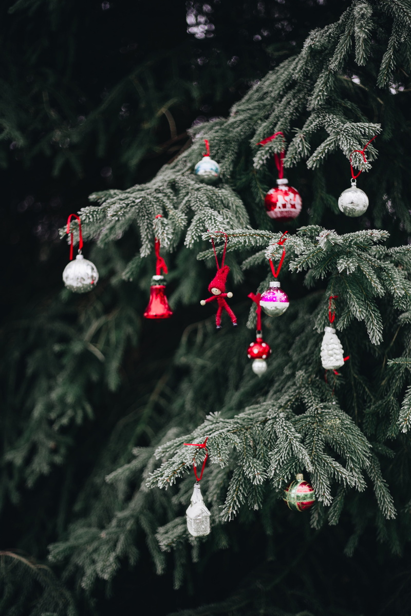christmas ornament, winter, xmas, christmas, event, Christmas balls, celebration, celebration event, plant, old, holiday - event, retro, focus on foreground