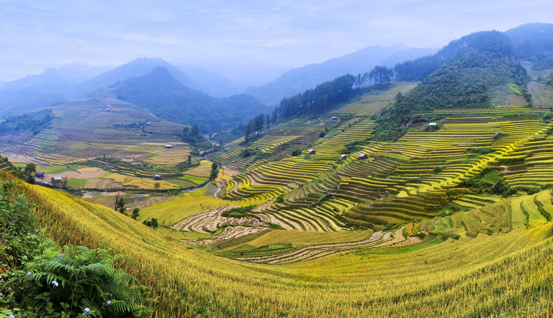 2K, mountains, plantations, fields, greens, terraces, hills, rice