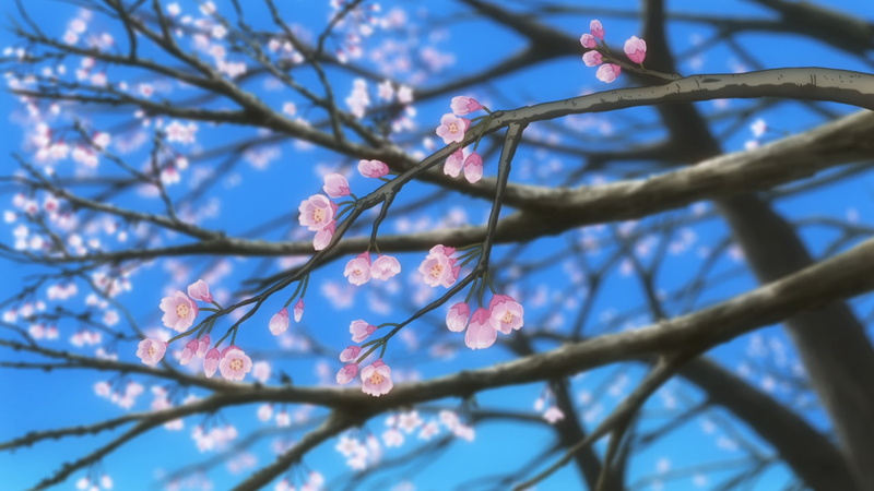 1080P, trees, flowers, Non Non Biyori