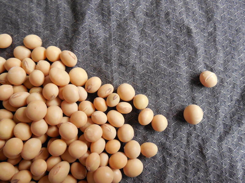 freshness, seeds, food and drink, food, directly above, closeup, day, healthy, soybeans, egg, brown, still life, healthy eating, large group of objects