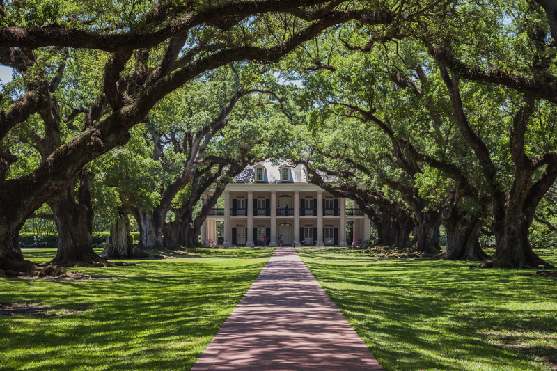 villa, plant, direction, treelined, land, park, usa, day, sunlight, no people, earth, nature, oak alley, shadow, growth, hd background, diminishing perspective
