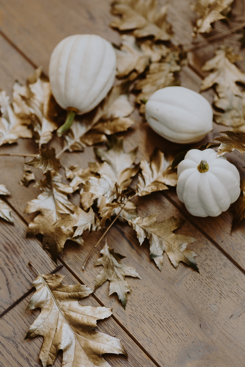 fall, no people, oak, oak leaves, plant, 5K, plant part, golden, table, autumn, halloween, freshness, close-up, painted leaves, white color, white, food