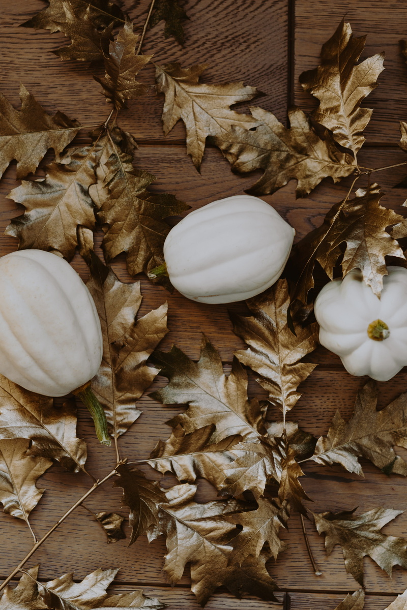 painted leaves, dry, fall, leaf, healthy eating, close-up, freshness, halloween, painted leaf, 4K, directly above, change, day, white, vulnerability, fragility