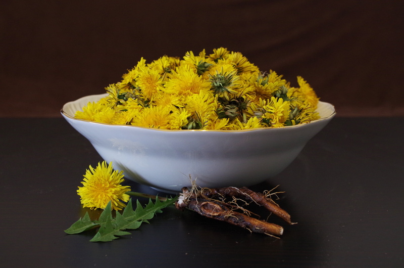 plant, healthcare and medicine, food, dandelion, ceramic, flowering plant, flower, studio shot, plant part, bowl, freshness, salad, food and drink, 4K