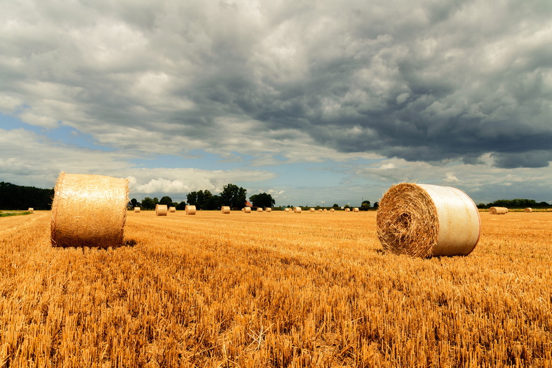 hay, sky, yellow, Stroh, 5K, straw, outdoors, nature, Feld, work, Rhein, crop, growth, Kleve, field, landscaped, landscape, bale, brown, blue, grass, rural Scene