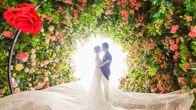wedding, ceremony, photograph, floral design, plantation, floristry, pink, petal, garden roses, flora, rose, rose order, bride, romance, love, wedding dress
