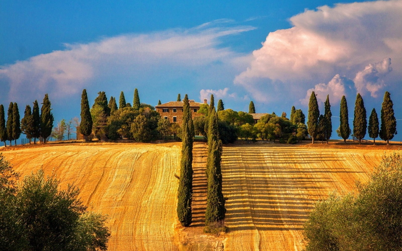 1080P, tuscany, sienna