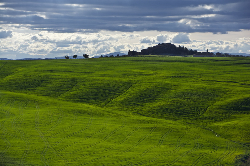 campagna, nikon  d7100, farm, field, san giovanni dasso, 2K, nature, rural Scene, agriculture, Spring, land, landscape, landscaped, glass, green glass