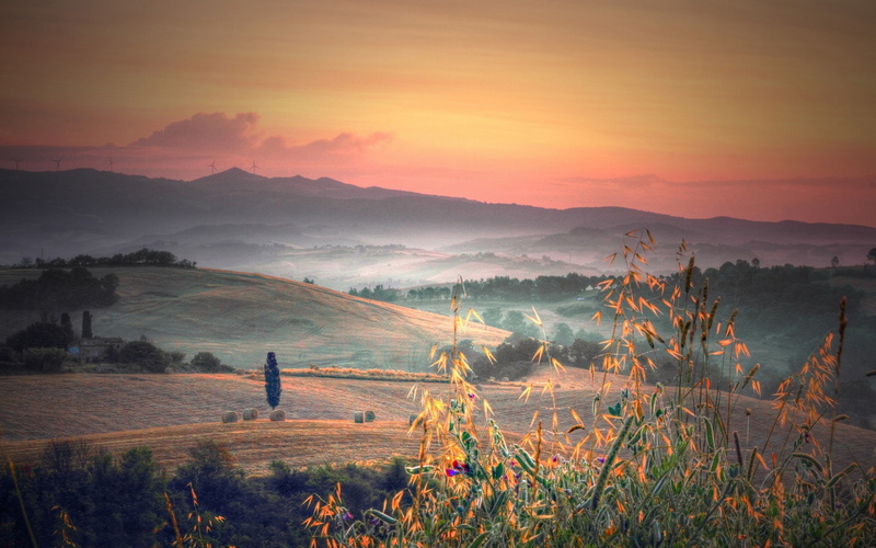 Fields, Tuscany, Morning, 1080P, Grass, Hills, Fog, Trees, Italy