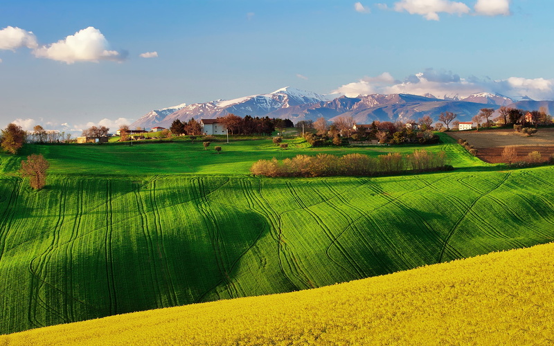 Rapeseed, Spring, Nature, 1080P, Italy, Scenery, Fields, Sky