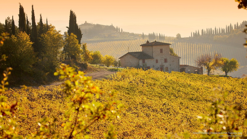 chianti, tuscany, vineyards, Fall, 2K, classico, italy