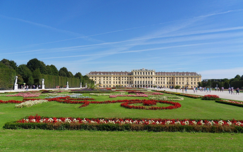 beauty in nature, austria, built structure, outdoors, flowering plant, field, near, schönbrunn, grass, hedge, park, garden, blue, nature, park - man made space