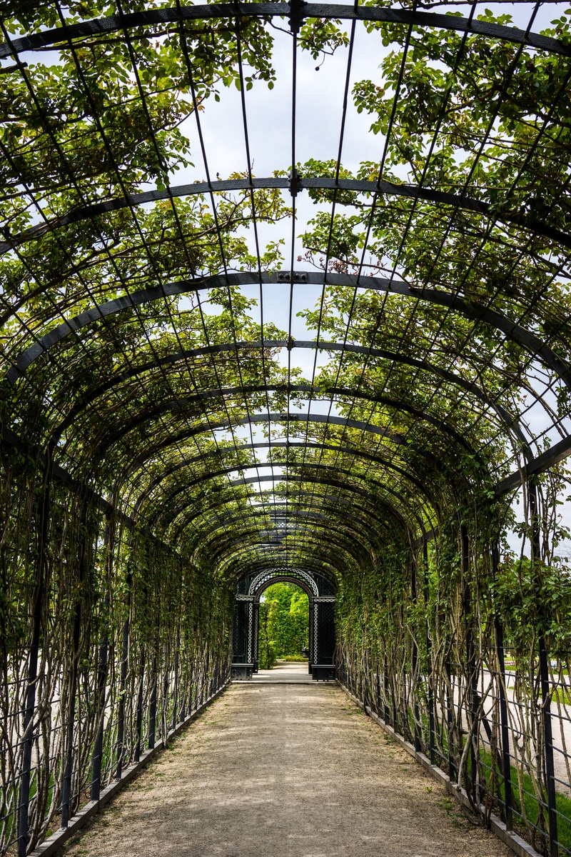 nature, spring, garden, no people, plant, growth, beauty in nature, trees, austria, empty, vanishing point, leafed, built structure, emotion, the way forward