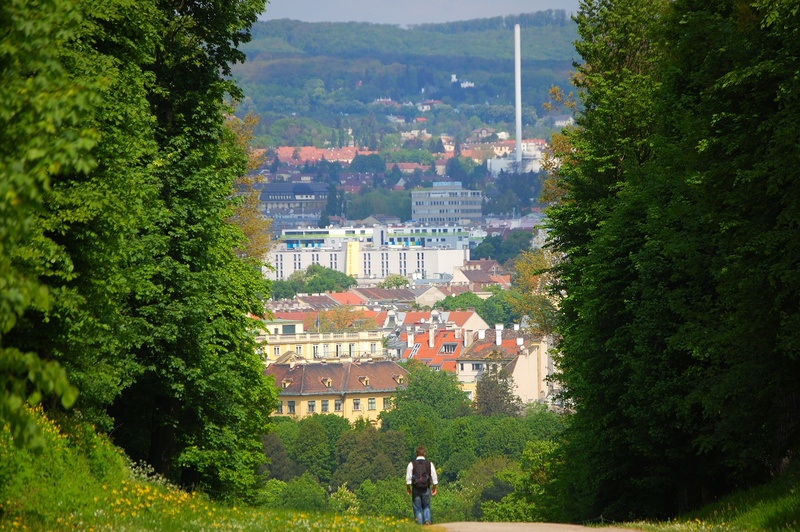 vienna, hike, castle park, building exterior, hiking, trees, crowd, real people, promenade, residential district, city, architecture, day, rear view, built structure