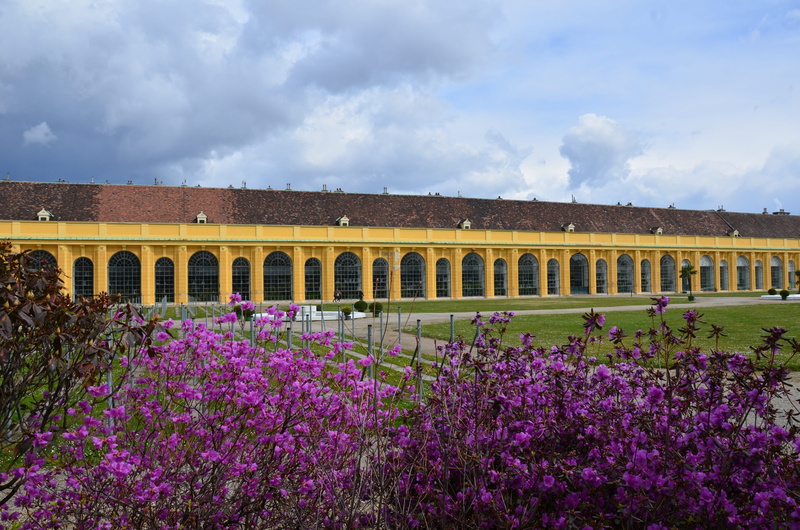 flowering plant, flower, history, austria, arch, schönbrunn, vienna, cloud - sky, nature, freshness, architecture, built structure, vulnerability, no people
