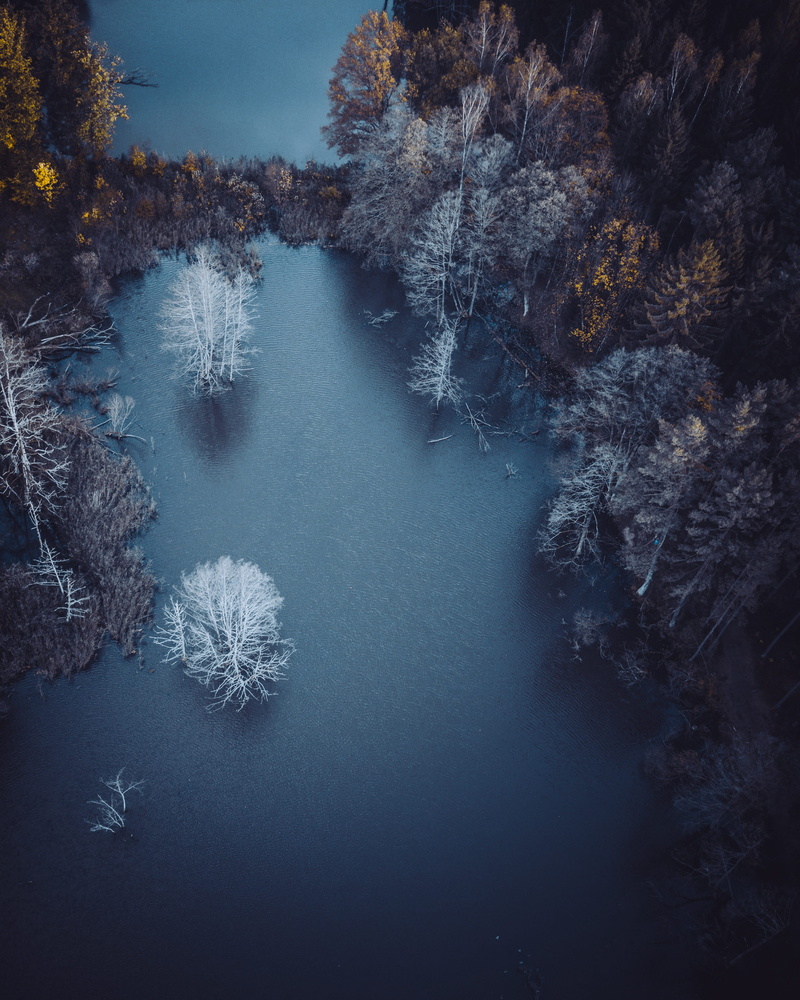 scenics - nature, landscape, nature, tranquility, day, drone, snow, body, river, near, plant, view, lake, trees, no people, water, aerial, tranquil scene