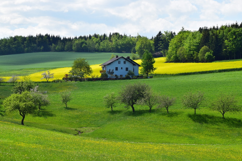 farm, sky, grass, agriculture, outdoors, landscape, plant, nature, scenics - nature, spring, green, field, building, architecture, growth, yellow, no people