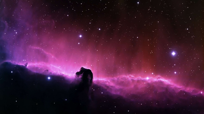 stars, star field, glowing, no people, luminosity, dark, hd, universe, 2K, astronomy, illuminated, space, star - space, nature, milky way, horsehead nebula
