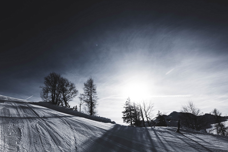 sun, bright, trees, no people, the way forward, sunlight, ski resort, nature, beauty in nature, mountain, environment, sky, tree, snow, scenics - nature