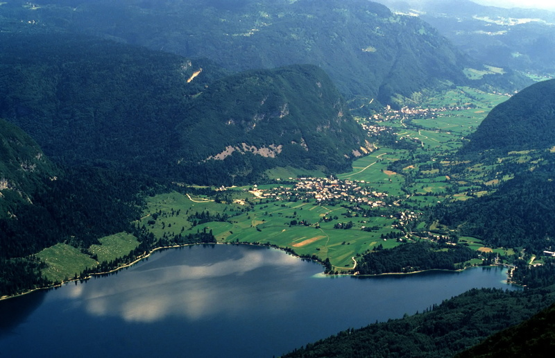 environment, water, land, nature, mountain, outdoors, slovenia, bohinj, scenics - nature, tranquility, mountain range, beauty in nature, tree, panoramic