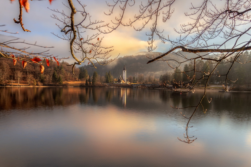 branches, Bohinj, Ed Gordeev, Slovenia, Eduard Gordeev, Gordeev Edward, landscape, island, bridge, forest, nature, Church, lake, 1080P