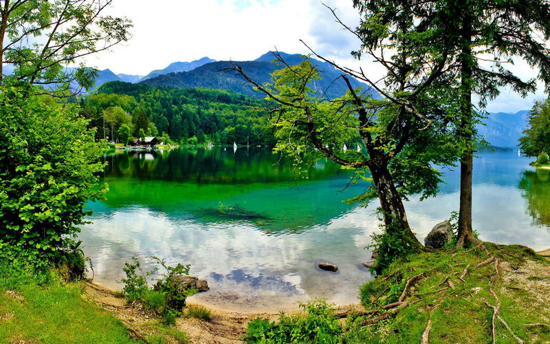 lake, trees, beautiful, slovenia, reflection, bohinj, coast, forest, hd, nature, landscape, 2K