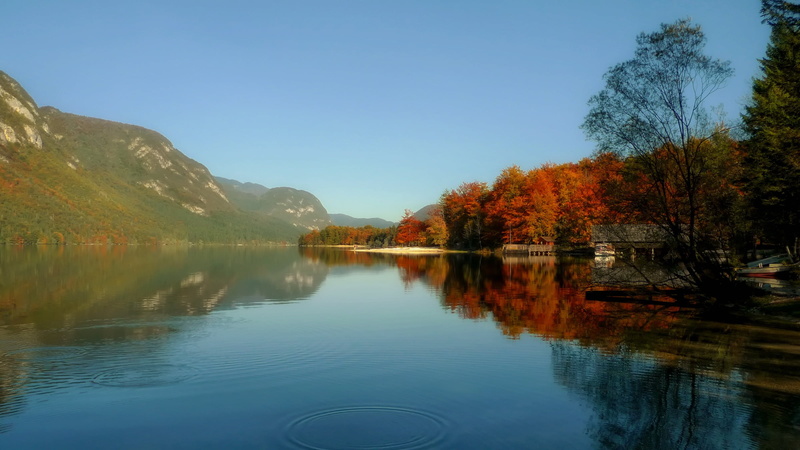 sky, landscape, forest, plant, lake, lake bohinj, scenic, mountains, fall, no people, mountain, reflections, outdoors, reflection, scenics, tranquility