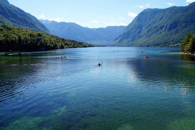 bohinj, waterfront, plant, slovenia, water sports, mountain range, idyllic, nature, mountain, bathing, animal, tranquility, summer, lake, beauty in nature