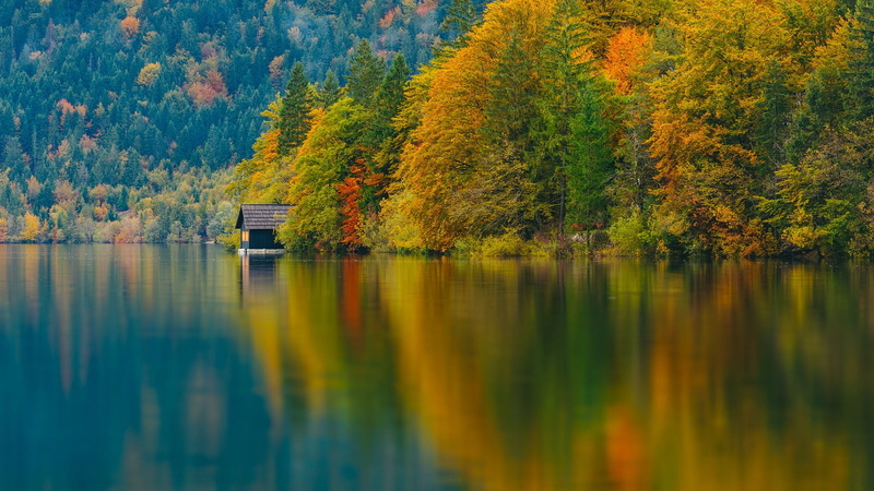 Lake Bohinj, trees, 1080P, alone, lake, water, forest, house, Slovenia, fall, landscape, nature