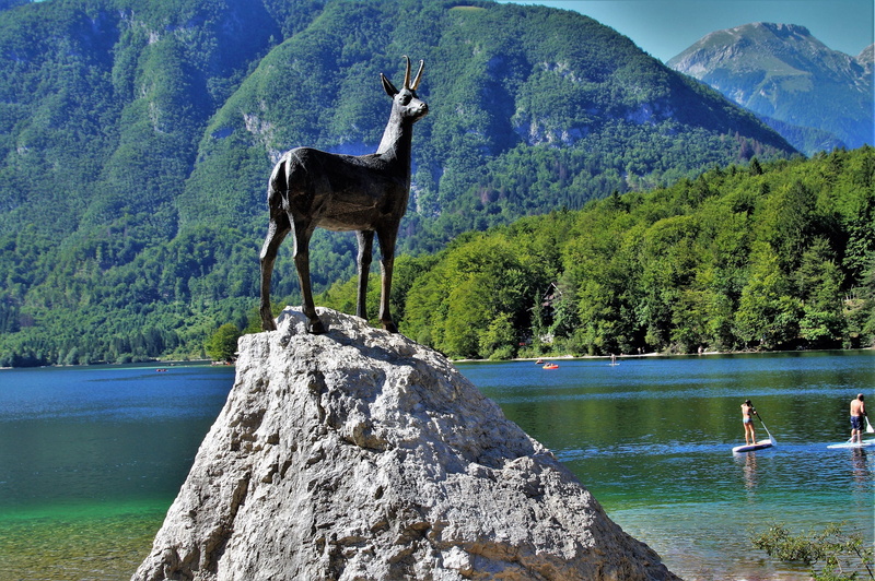 bohinj lake, vertebrate, lake bohinj, tranquil scene, mountain range, slovenia, plant, animal themes, day, one animal, mountain, standing, animal wildlife