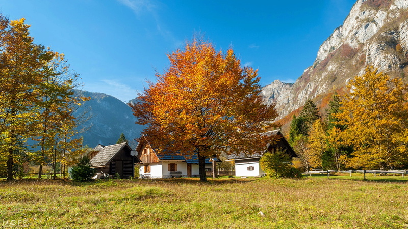 autumn, forest, the sun, rocks, 1080P, grass, houses, Bohinj, mountains, trees, Slovenia, the sky