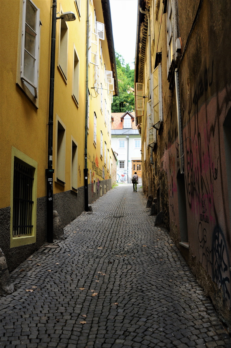 empty, direction, path, outdoors, town, paving stone, man, road, walking, day, ljubljana, transportation, narrow, 4K, diminishing perspective, footpath