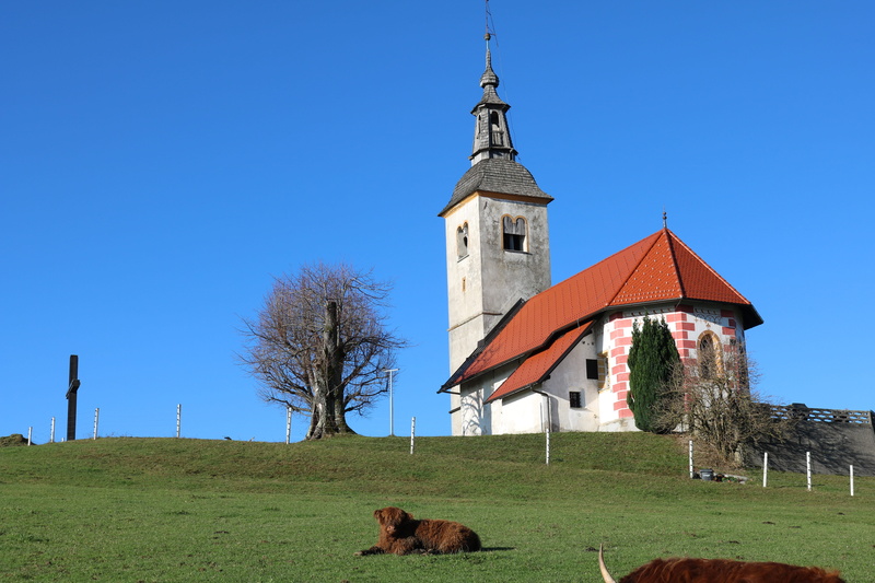tourism, animal, trees, mountains, belief, nature, church, blue, sky, no people, tree, horjul, spirituality, grass, 5K, built structure, clear sky, mammal