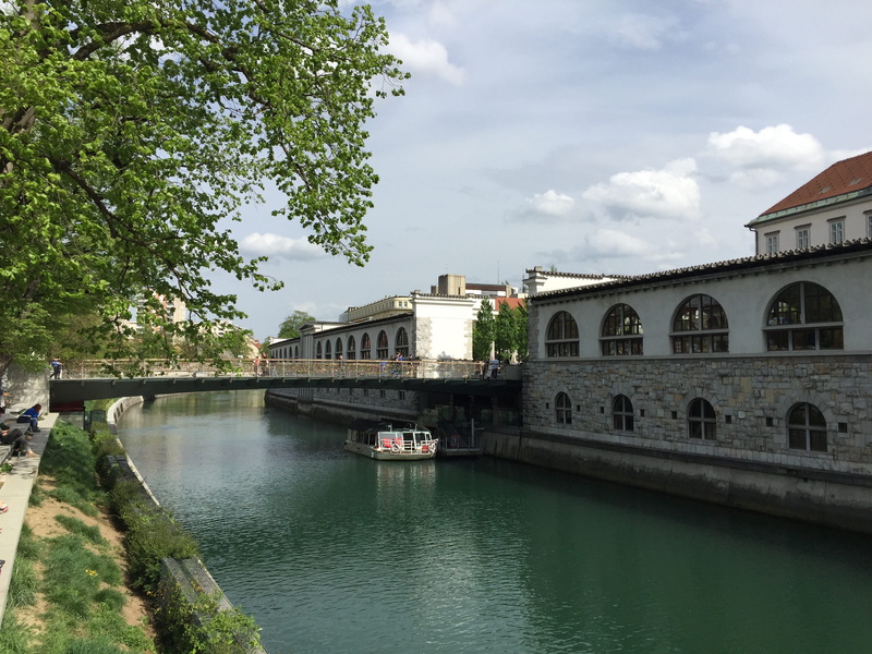 tree, Travel, bridge, built structure, connection, city, outdoors, waterfront, bridge - man made structure, cloud - sky, sky, plant, river, Slovenia, water