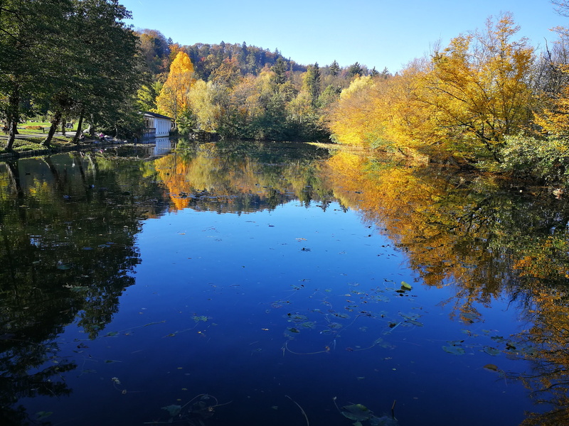 spring, lakeshore, reflection, slovenia, autumn, outdoors, waterfront, change, tranquility, tranquil scene, scenics - nature, water, park, no people, beauty in nature