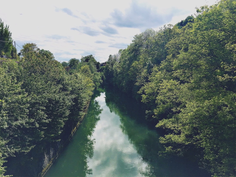 city jungle, idyllic, water, cloud - sky, ljubljanica, scenics - nature, nature, day, tranquil scene, forest, capital, 1080P, bridge view, green color