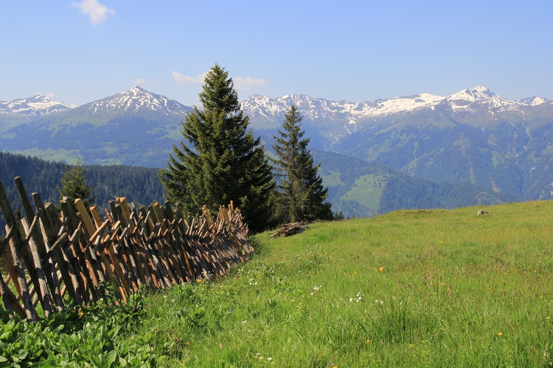 landschaft, environment, land, mountain, day, green color, alpen, no people, tree, idyllic, landscape, mountain peak, 5K, snowcapped mountain, berge, sky