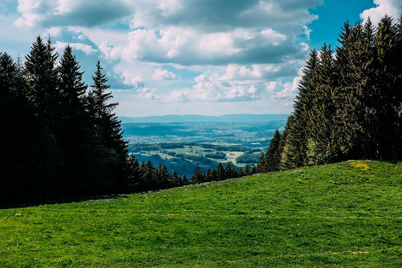 nature, outdoors, bavarian, scenics - nature, meadows, vacation, beauty in nature, meadow, europe, plant, tranquility, mountain, coniferous tree, day, growth