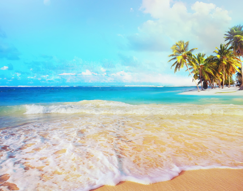 land, cloud - sky, coconut, palm tree, water, horizon, scenics - nature, nature, beach, landscape, 5K, tranquility, horizon over water, sea, palm, beauty in nature