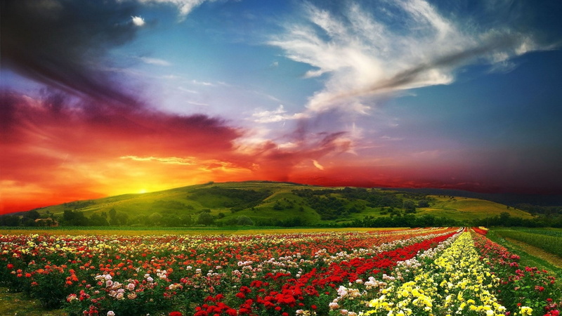 wonderfull nature hd  1920x1080, 1080P