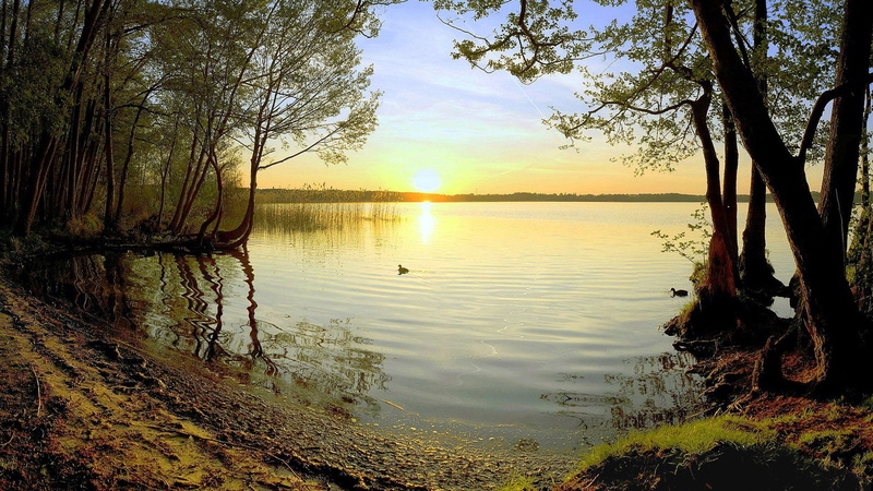 beauty in nature, trunk, sky, sunset, non-urban scene, sunlight, 1080P, scenics - nature, wonderfull nature hd  1920x1080, outdoors, tranquility, reflection