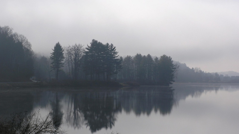 tranquility, reflection, no people, nature, fog, waterfront, 1080P, beauty in nature, wonderfull nature hd  1920x1080, scenics - nature, pine woodland