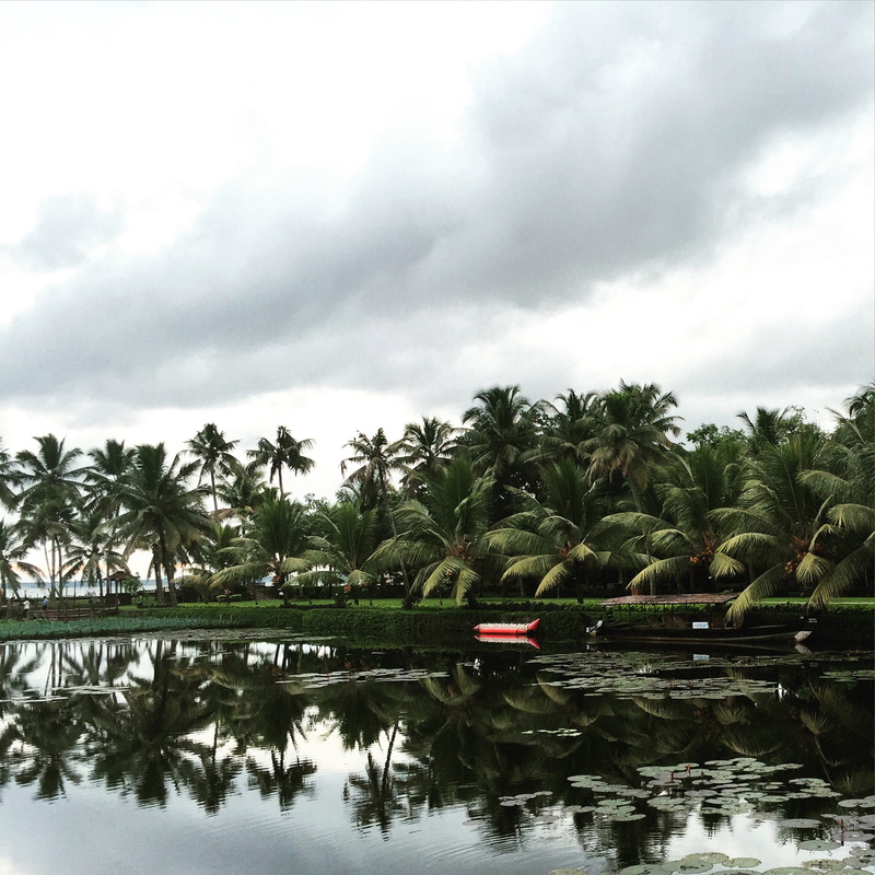 cloudy, trees, reflection, backwaters, scenics - nature, growth, lake, beauty in nature, sky, tropical climate, green color, coconut palm tree, waterfront