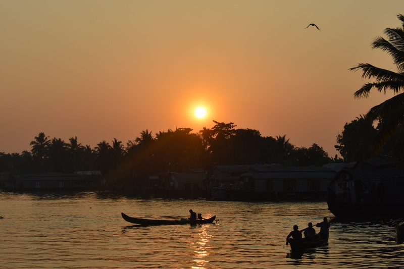 tropical, asia, transportation, palm tree, sun, bird, vertebrate, travel, orange color, waterfront, exotic, india, beauty in nature, sunset, river, sky