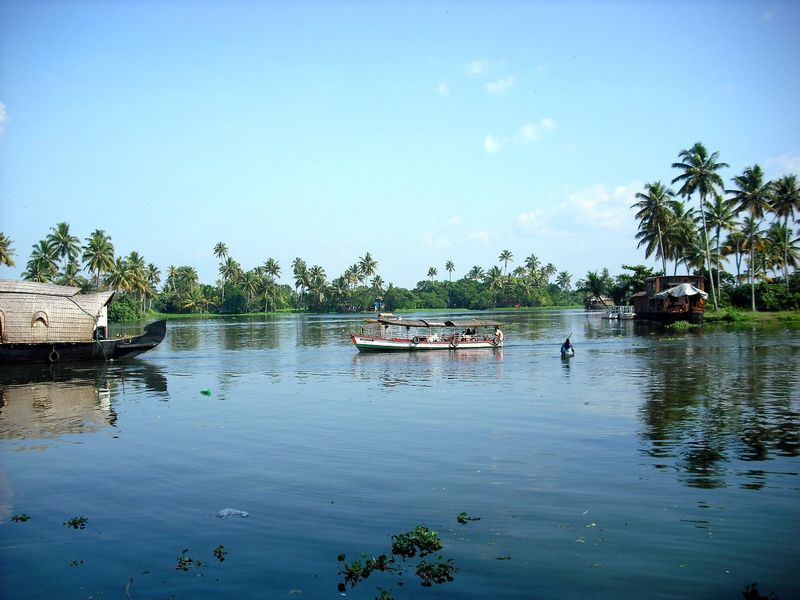 south india, tree, water, scenics - nature, plant, day, sky, incidental people, outdoors, india, tranquil scene, backwaters, palm tree, transportation