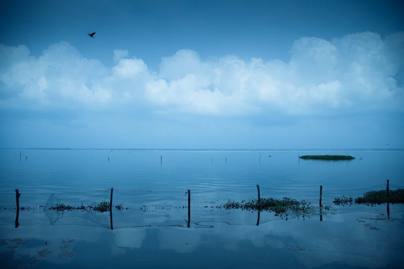 day, wooden post, water, tranquility, kerala, india, no people, backwaters, animals in the wild, cloud - sky, animal wildlife, animal, lake, non-urban scene
