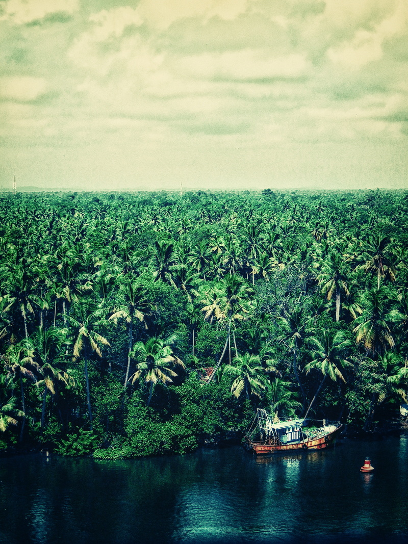 transportation, day, no people, faith, horizon, palm, boat, beauty in nature, mode of transportation, waterfront, plant, nautical vessel, travel, kerala