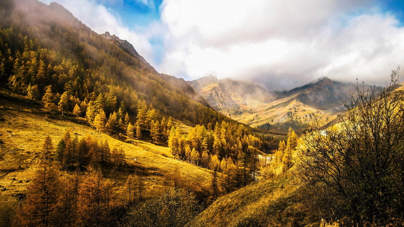 non-urban scene, travel destinations, 1080P, pine woodland, land, amazing nature photography  1920x1080, no people, mountain peak, mountain, coniferous tree