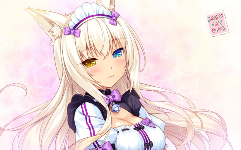 Anime, 1080P, Nekopara, Coconut (Nekopara)